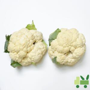 콜리플라워 8Kg (상)