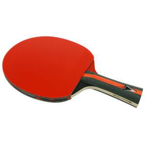 참피온 쉐이크 탁구라켓 탁구채 V3.0S