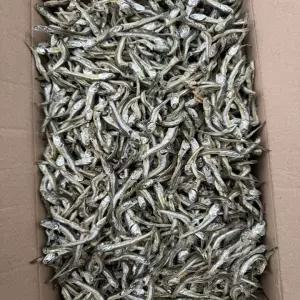 [미각] 국산 고가이리멸치 꽈리고추 고추장멸치 1.5kg