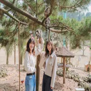 [제주] 화조원