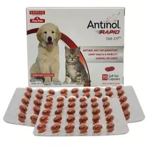안티놀 래피드 (Antinol RAPID) 강아지 고양이 관절 영양제 90정