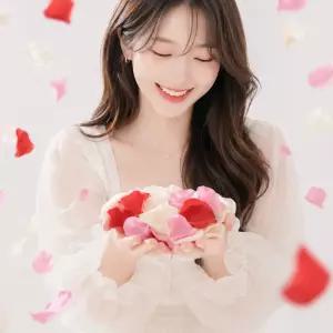 리드홈 인생샷 촬영 소품 장미 꽃잎 꽃가루 컨페티 600p 세트