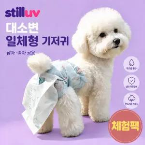 스틸럽 노견 치매강아지 똥기저귀 남아공용 숫컷 배변패드 고양이 대소변일체형 체험팩 2개입