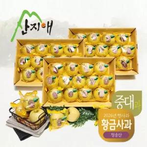 산지애 황금 사과 시나노골드 햇사과 9kg (3kg*3박스)