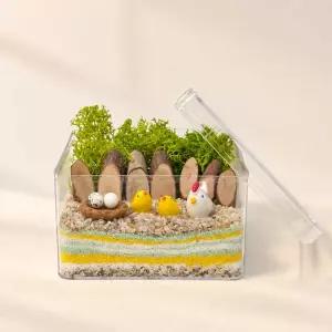 꼬꼬마을 색모래 테라리움 만들기 DIY 키트 단체 원예 체험 솜씨키트