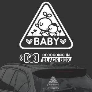 [BZJL6HN1_4C]BABY 블랙박스/남자삐약 자동차스티커