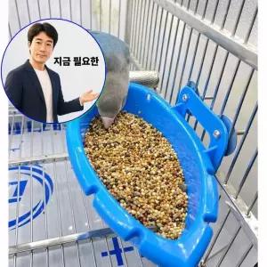 지금 필요한 목욕통 사료통 식기 먹이통 걸이식 욕조 앵무새