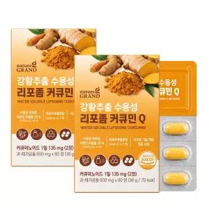 네이처그랜드 강황추출 수용성 리포좀 커큐민Q 60정 2박스