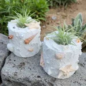 하비코 스컬프쳐 페인팅 이오난사 바다 오브제 DIY 만들기 미술키트 여름만들기
