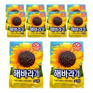해바라기 초코볼 80g x 10개
