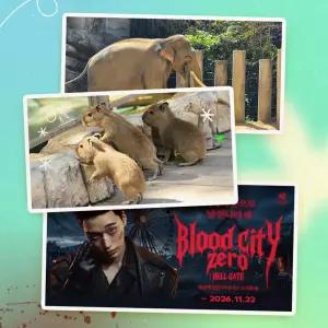 [용인] 에버랜드 종일이용권 (26/11/1~26/11/30)