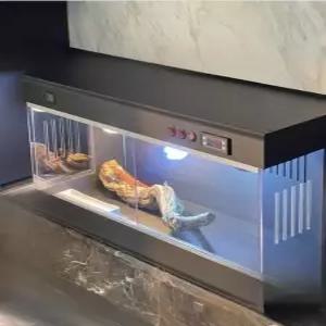 파충류 육지거북이 포맥스사육장 온도 집 애완용 자동 스마트온도조절 됩니다 도마뱀 추가하여