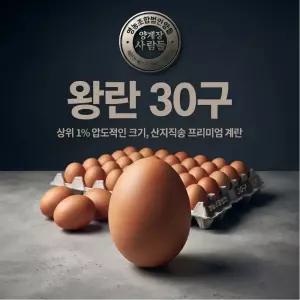 [양계장사람들] 신선 왕란 30구 왕란특란대란 계란