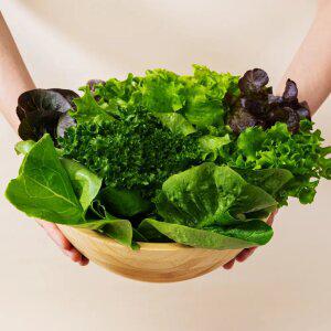 산지 유러피안 샐러드 야채 채소 유럽상추 4종 이상 1kg