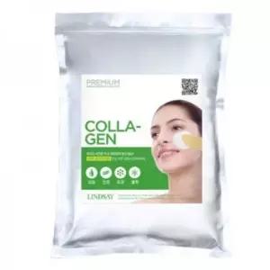 린제이 프리미엄 콜라겐 모델링 팩 1Kg