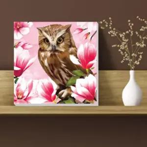 부엉이 그림 목련 꽃 캔버스 액자 그림드림 5Owl-30C 회화 행운을부르는 Ad9150F