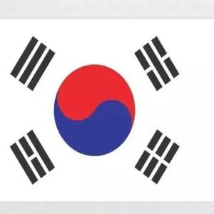 게양용태극기 대형깃발 국기 대형국기깃발 120x180사이즈국기 기타장식용품 응원용품 월드컵 Tr17BBC