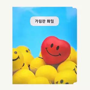 종이 책상 가림판 칸막이 블라인드 화일 가림막 5개