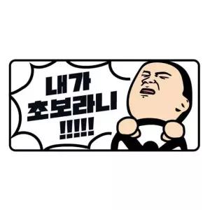클레버827 고휘도 야광스티커 초보운전 내가초보라니