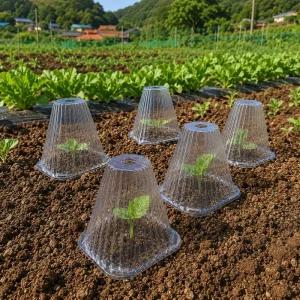 모종커버캡 100매 보호 어린 덮개 20cm작물 텃밭용품 식물키우기 키우기 모종 새싹키우기