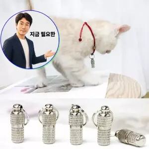 지금 필요한 강아 5개입 분실방 애견용 목걸이 고양이 인식표