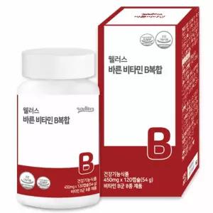 웰러스 바른 비타민 B복합 120캡슐