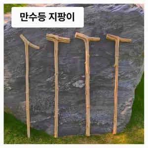 나무지팡이 효도지팡이 감태나무 연수목 노인정 장수 감태