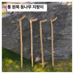 나무지팡이 효도지팡이 감태나무 연수목 감태 노인정 장수