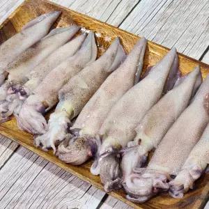 생물 한치 500g(5~7미)
