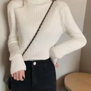 여성 겨울 두툼 기모 안감 데일리 골지티 슬림 목폴라 티셔츠 Z-F118C