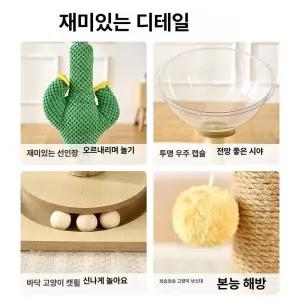 고양이 캡슐침대 아크릴 캡슐 포스트 반구형 투명침대