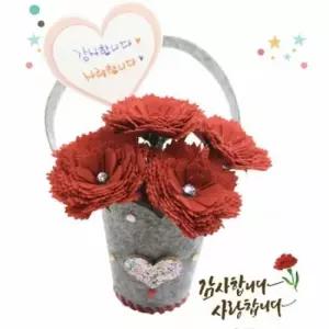 오너클랜 글로벌이지 뚝딱 펠트 카네이션 꽃바구니 만들기 10인용 세트 글로벌이지 펠트카네이션