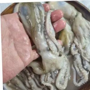 해물요리 혜명몰 냉동 낙지 6미 낙지볶음재료 통낙지 냉동해산물 냉동낙지