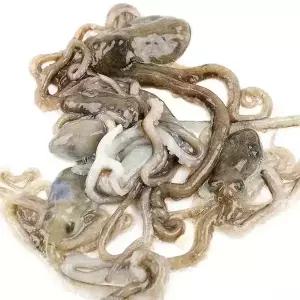정성수산 고흥 세발낙지5미(마리당30~40g)