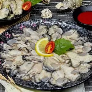 장보리 국내산 햇 생굴 1kg