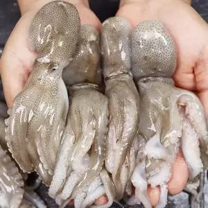 [장보리]서천어부의 주꾸미 쭈꾸미 1kg