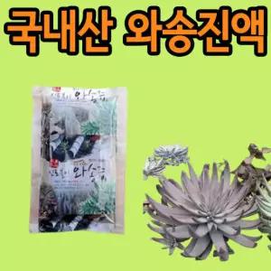 와송 생와송 와송먹는법 와송주