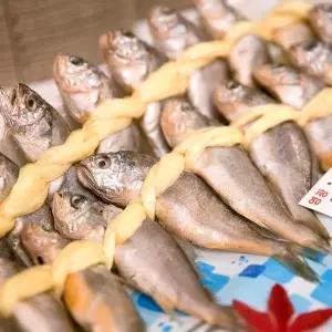 G 국내산 법성포 영광굴비 특3 20마리 1.4kg 내외