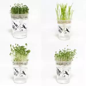 저면관수 미니 화분 새싹 키우기 DIY 키트/식물/학습/교구/초등/모종/재배기/재료/실내/어린이/선물