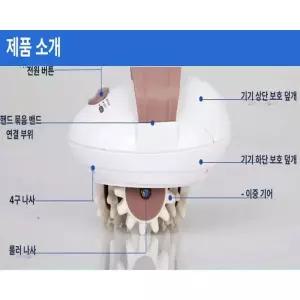 뱃살 속살 허벅지 배꼽살 빅사이즈 규정 참다랑어 적신