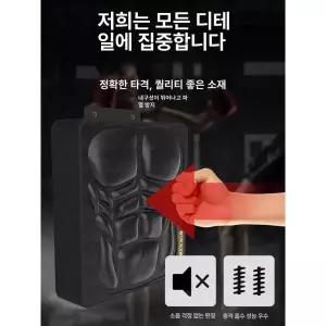 벽부착 스피드볼 기능 멀티기능 연습 펀치 킥복싱 가정용