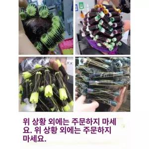 휴대용 사우나 방수 접이식 천 스파 기본 텐트 전신 빨간색 땀
