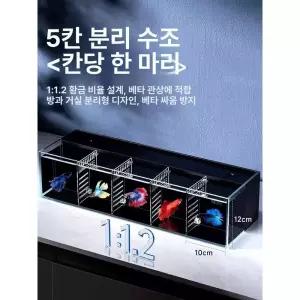 베타 키우기 어항 수족관 둥근 해수어 원형 아크릴
