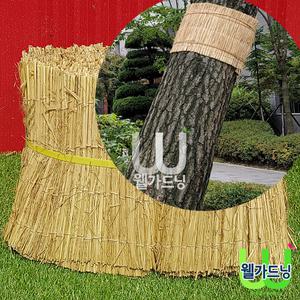짚-잠복소30cm*20M_바람막이/섬피/거적/겨울철가로수보호/수목동해방지/지피식물보온/제설제