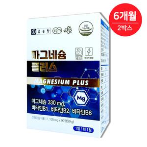 종근당 마그네슘 플러스 비타민B 90정 2박스 6개월분 산화마그네슘 330Mg