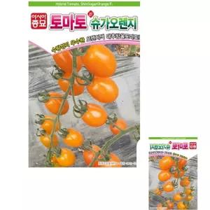제이커 대추방울토마토 씨앗 종자 오렌지색상 종묘 씨 가정용 신슈가