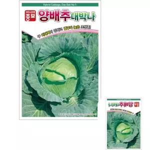제이커 양배추씨앗 종자 대박나 종묘 씨 모종 오래 200립 싱싱함이