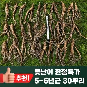 3대명가 원조산삼 못난이 산양산삼 장뇌삼 파지 5-6년근 30뿌리 한정물량