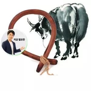 지금 필요한 개업전통소코뚜레 개업선물 인테리어소품 공예소코뚜레 전통공예 복기원소품