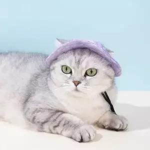 소형견용 반려동물 모자 고양이 여름 액세서리 의상 강아지용 바이저 캡 자외선 차단 조절 가능한 귀여운